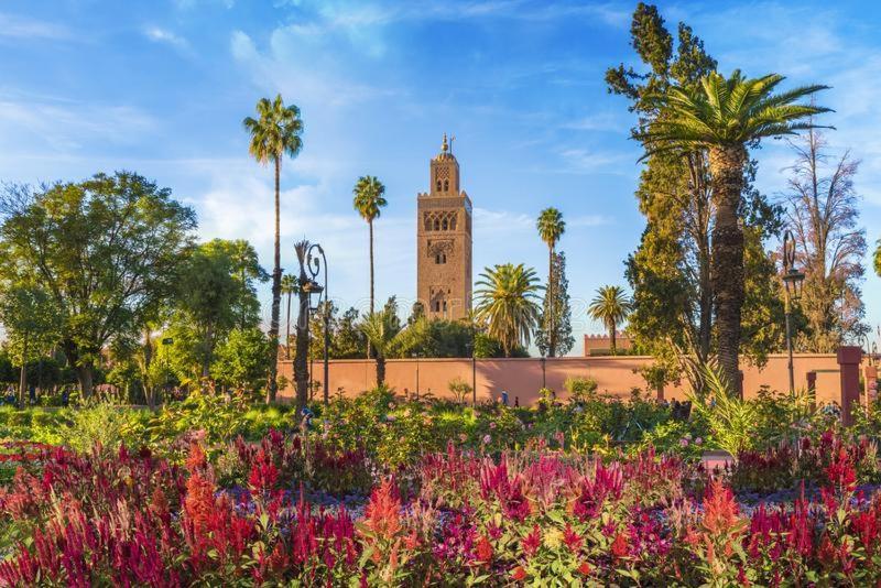 Bonheur Partage 1 Apartment Marrakesh Luaran gambar